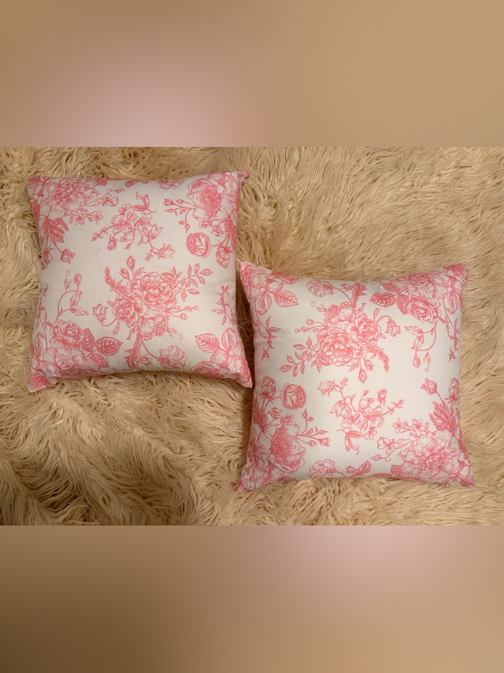 Set of 2 decorative throw pillows